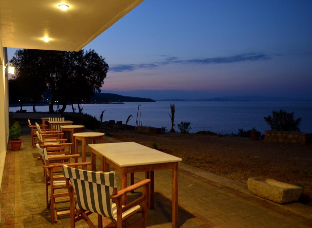 Agia Pelagia  Pelagia Aphrodite Hotel מתקנים תמונה